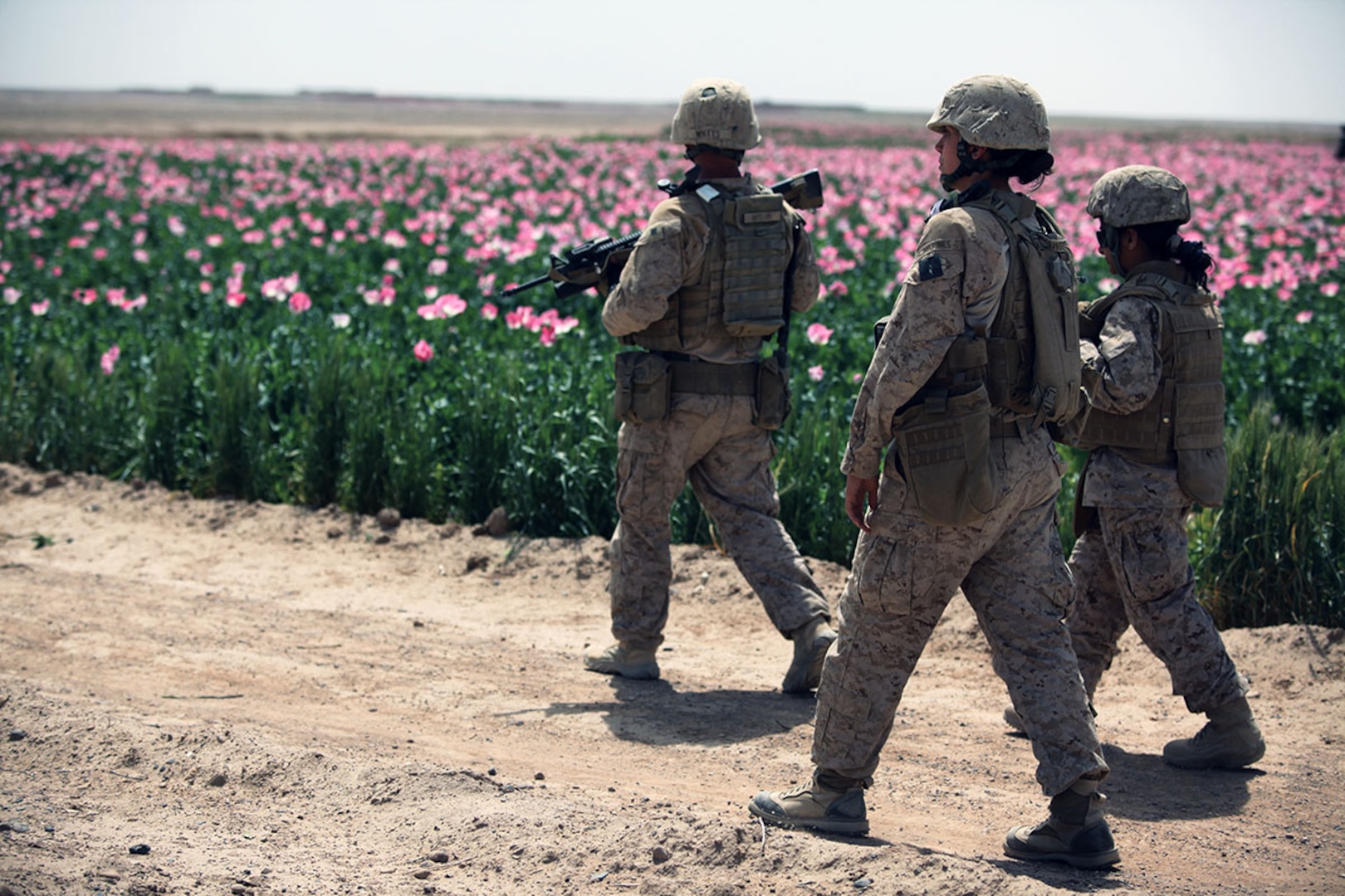 U.S. Marines assigned to the female engagement team (FET) of I Marine Expeditionary Force (Forward) conduct a patrol alongside a poppy field while visiting Afghan settlements in Boldak, Afghanistan, April 5, 2010. The FET, which is deployed in support of the International Security Assistance Force, is in the area to engage with local women in an effort to gain cultural awareness and ascertain family needs. (DoD photo by Cpl. Lindsay L. Sayres, U.S. Marine Corps/Released)