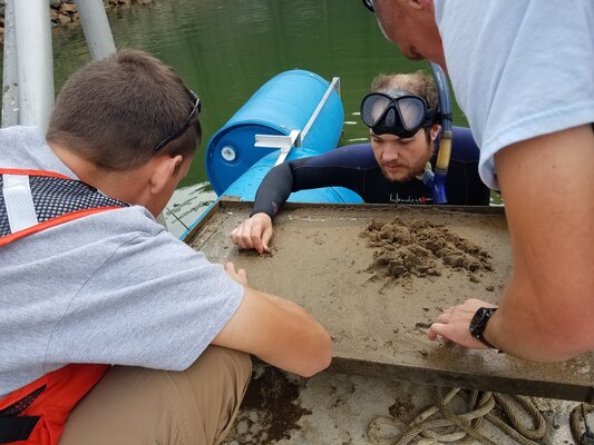 Cultivating Mussels