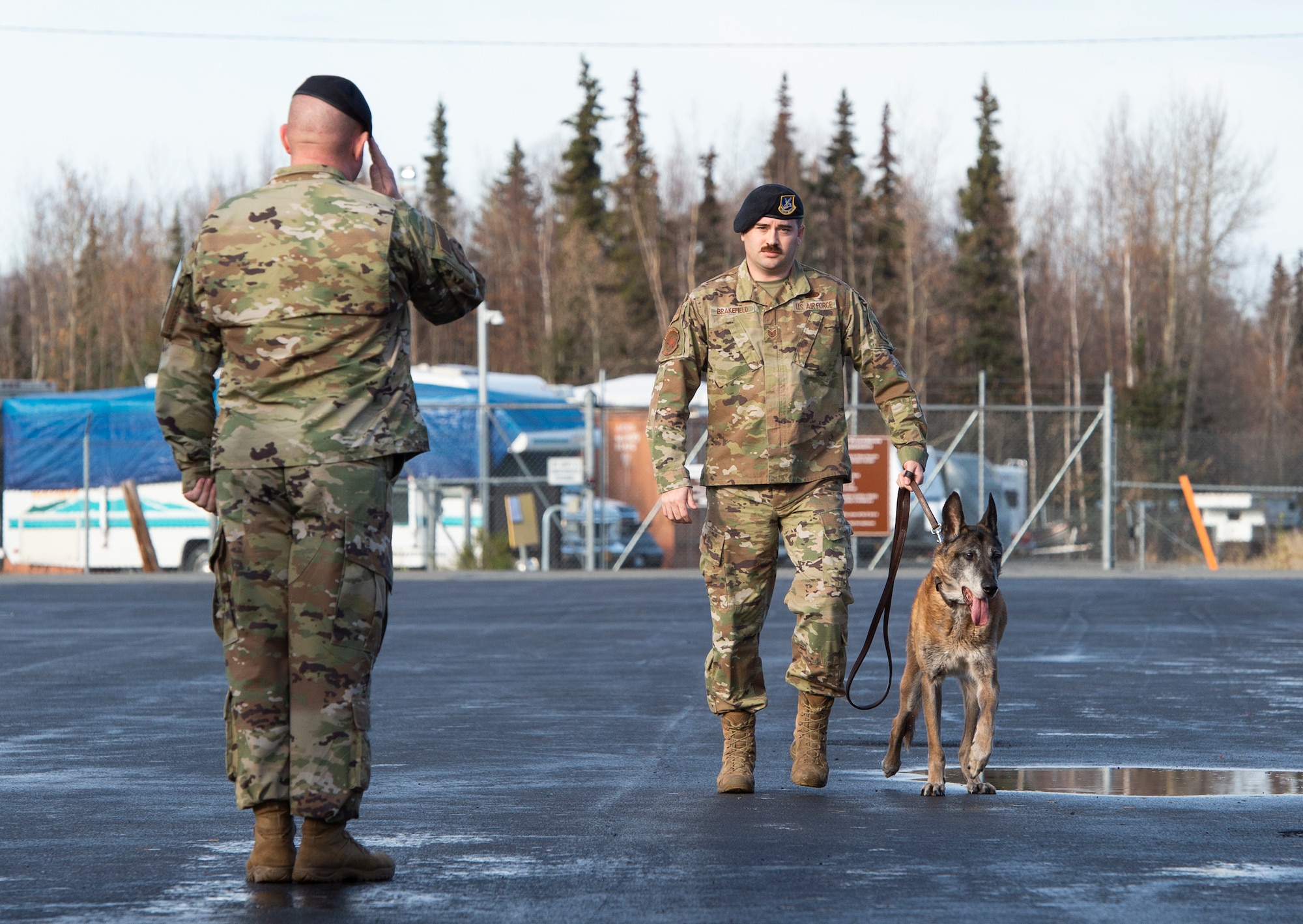U.S. Air Force Lt. Col. Richard Zeigler, the commander of the 673d Security Forces Squadron, salutes retired military working dog Dino as he is escorted by his former handler and current owner, Staff Sgt. Scott Brakefield, during his final walk at Joint Base Elmendorf-Richardson, Alaska, Oct. 17, 2019. Dino, a Belgian Malinois, was born in June of 2005 and was stationed at JBER in June of 2007 where he served as a patrol and narcotics detector dog until his retirement in November of 2015. Brakefield, a native of Willoughby, Ohio, adopted Dino after working together for two years. During his service at JBER, Shemya island and the Alaska/Canadian border, Dino was credited with 61 narcotic finds. Due to his declining health and quality of life, military veterinarians decided to euthanize Dino.