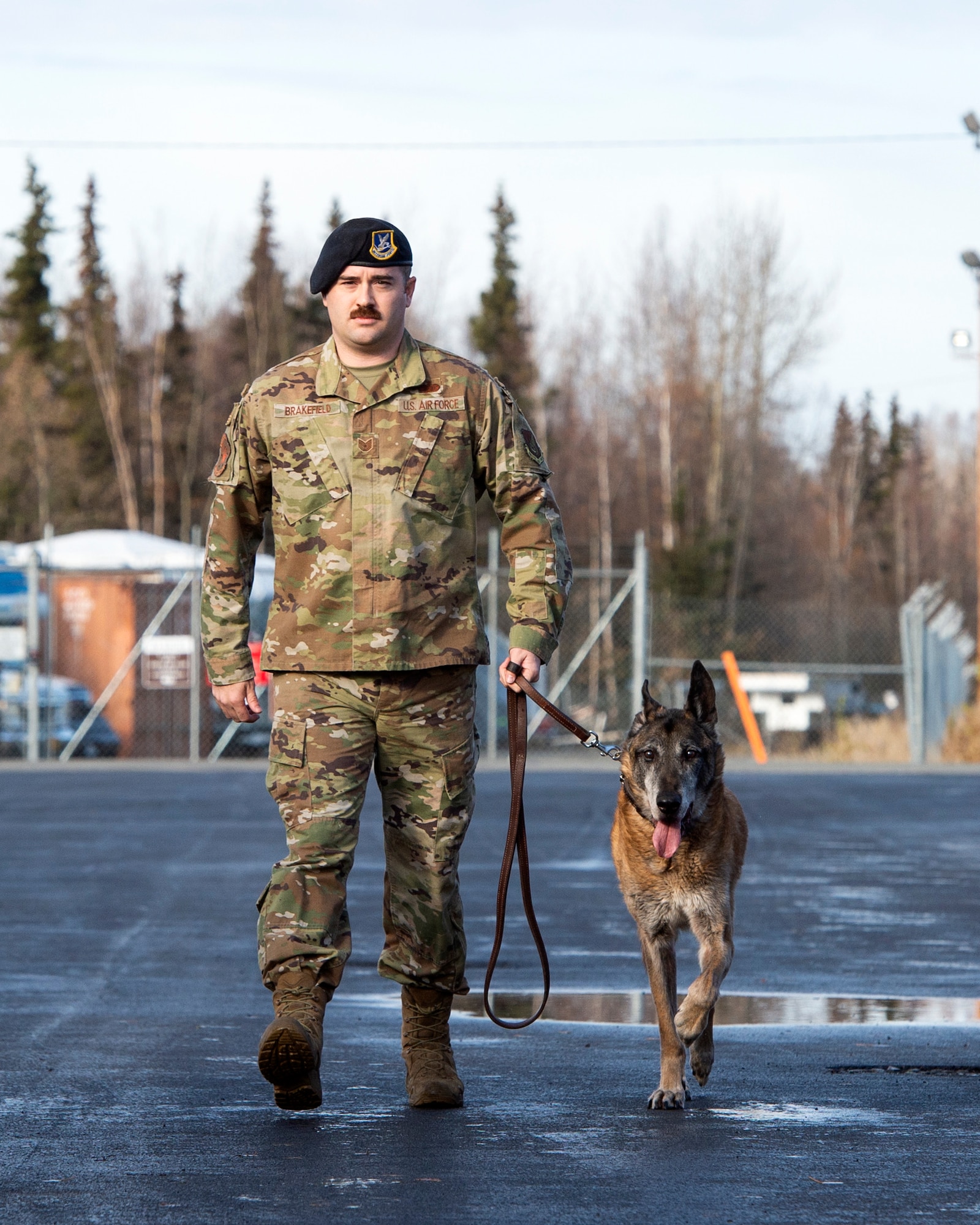 U.S. Air Force Staff Sgt. Scott Brakefield, a military working dog handler with the 673d Security Forces, escorts his retired military working dog Dino during his final walk at Joint Base Elmendorf-Richardson, Alaska, Oct. 17, 2019. Dino, a Belgian Malinois, was born in June of 2005 and was stationed at JBER in June of 2007 where he served as a patrol and narcotics detector dog until his retirement in November of 2015. Brakefield, a native of Willoughby, Ohio, adopted Dino after working together for two years. During his service at JBER, Shemya island and the Alaska/Canadian border, Dino was credited with 61 narcotic finds. Due to his declining health and quality of life, military veterinarians decided to euthanize Dino.