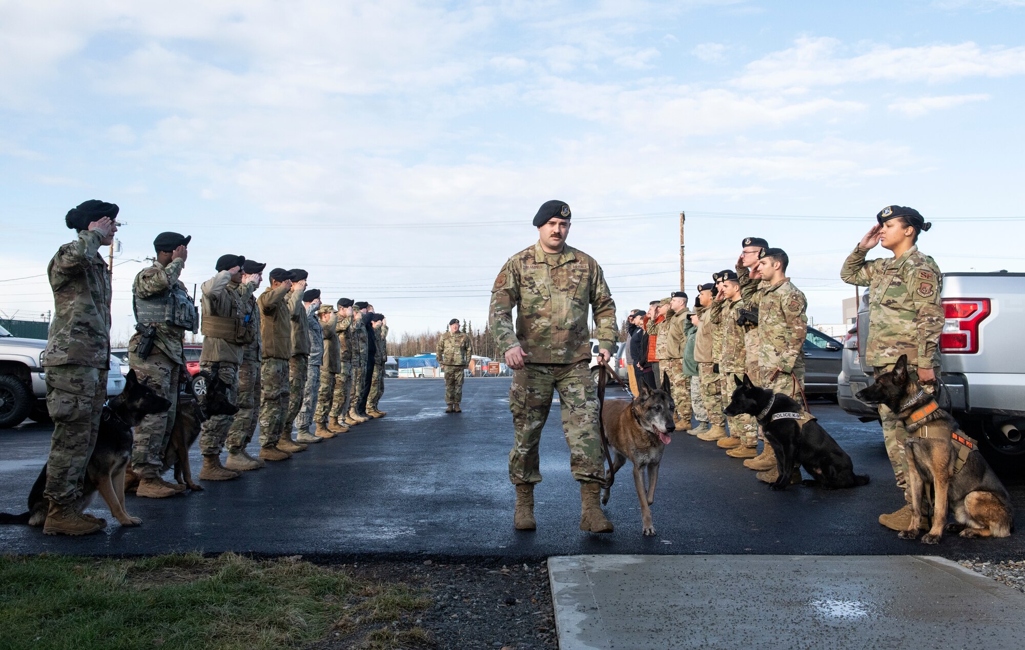 Members of the 673d Security Forces Squadron render a final salute to retired military working dog Dino as he is escorted by his former handler and current owner, Staff Sgt. Scott Brakefield, during his final walk at Joint Base Elmendorf-Richardson, Alaska, Oct. 17, 2019. Dino, a Belgian Malinois, was born in June of 2005 and was stationed at JBER in June of 2007 where he served as a patrol and narcotics detector dog until his retirement in November of 2015. Brakefield, a native of Willoughby, Ohio, adopted Dino after working together for two years. During his service at JBER, Shemya island and the Alaska/Canadian border, Dino was credited with 61 narcotic finds. Due to his declining health and quality of life, military veterinarians decided to euthanize Dino.