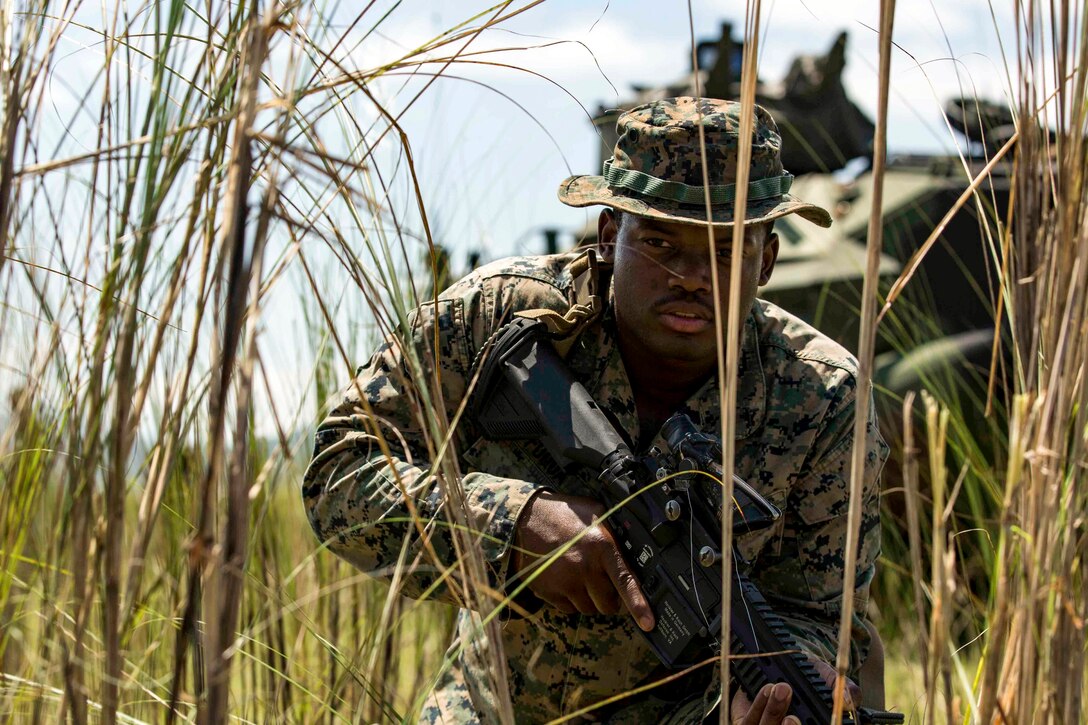 A Marine holding a weapon crouches in tall grass.