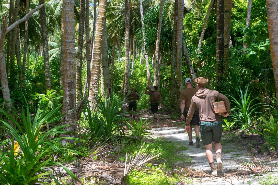 A group of sailors carry boxes while walking in a tropical terrain.