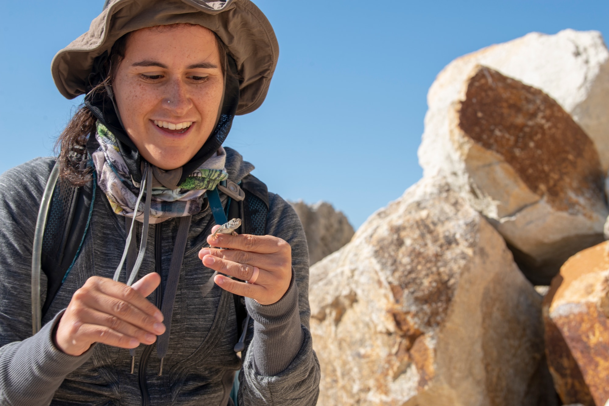 Emily Brown, wildlife biologist with Colorado State University holds a Great Basin collared lizard on the Nellis Test and Training Range, Nevada, Oct. 17, 2019. The wildlife biologists partner with the 99th Civil Engineer Squadron to document and conserve wildlife at the range. (U.S. Air Force photo by Staff. Sgt. Tabatha McCarthy)