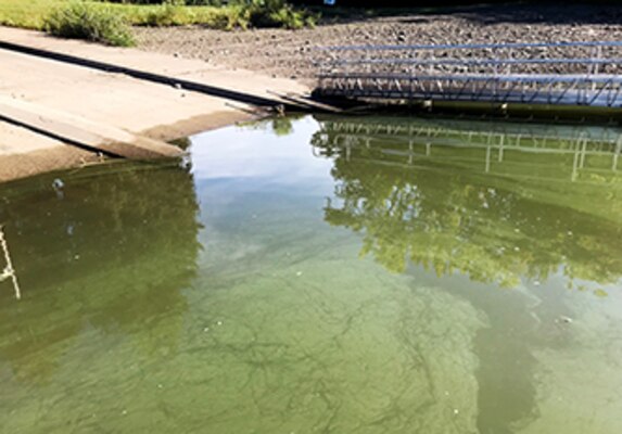 April showers might have brought May flowers, but this summer’s warm weather brought a different kind of bloom to reservoirs. The Pittsburgh District environmental team focused its efforts to identify harmful algae blooms and conducted testing throughout the Mahoning River Watershed.