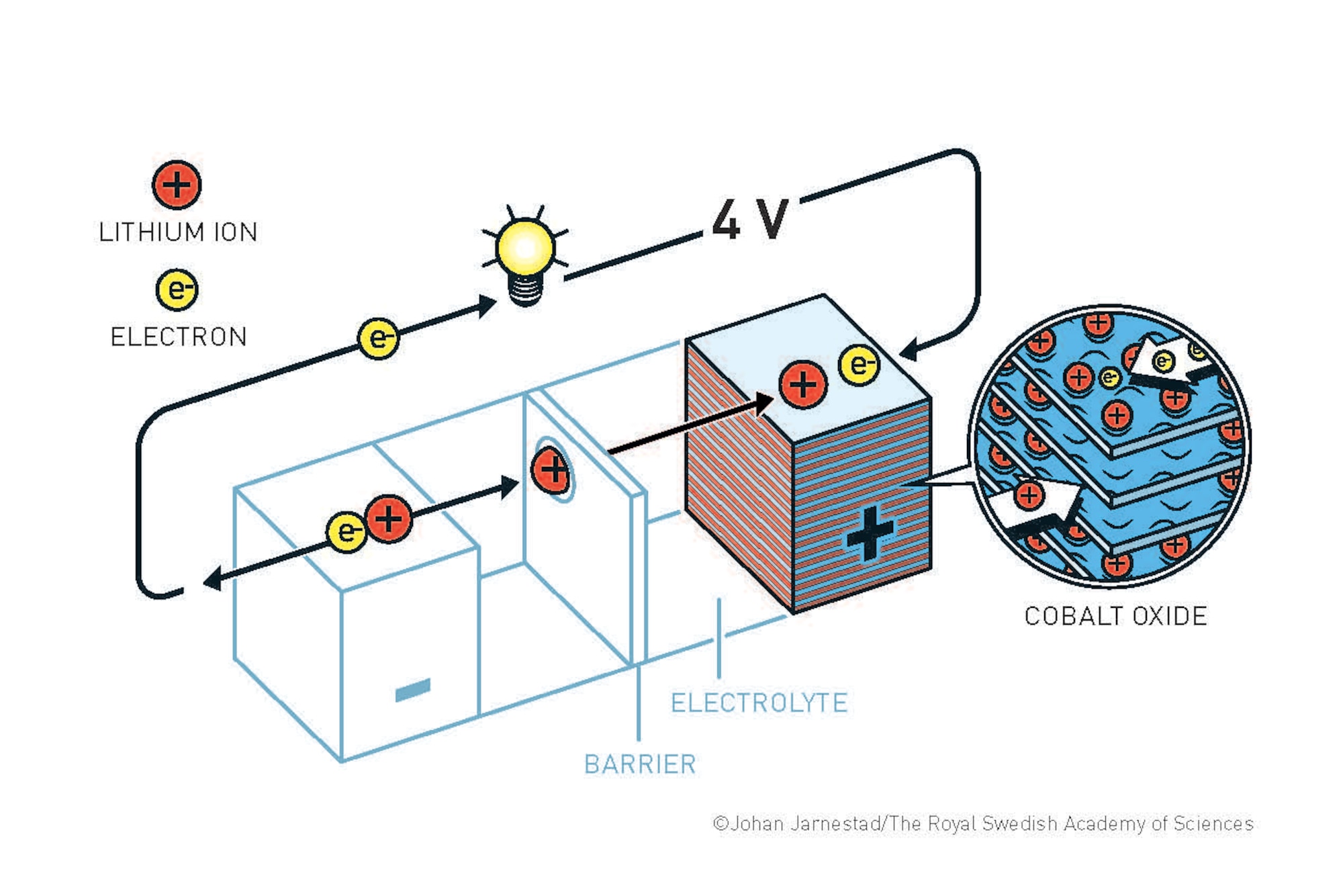 An illustration of John Goodenough's battery. The Nobel Prize in Chemistry 2019 rewards the development of the lithium-ion battery. This lightweight, rechargeable and powerful battery is now used in everything from mobile phones to laptops and electric vehicles. It can also store significant amounts of energy from solar and wind power, making possible a fossil fuel-free society. (Illustration courtesy of Johan Jarnestad/The Royal Swedish Academy of Sciences)