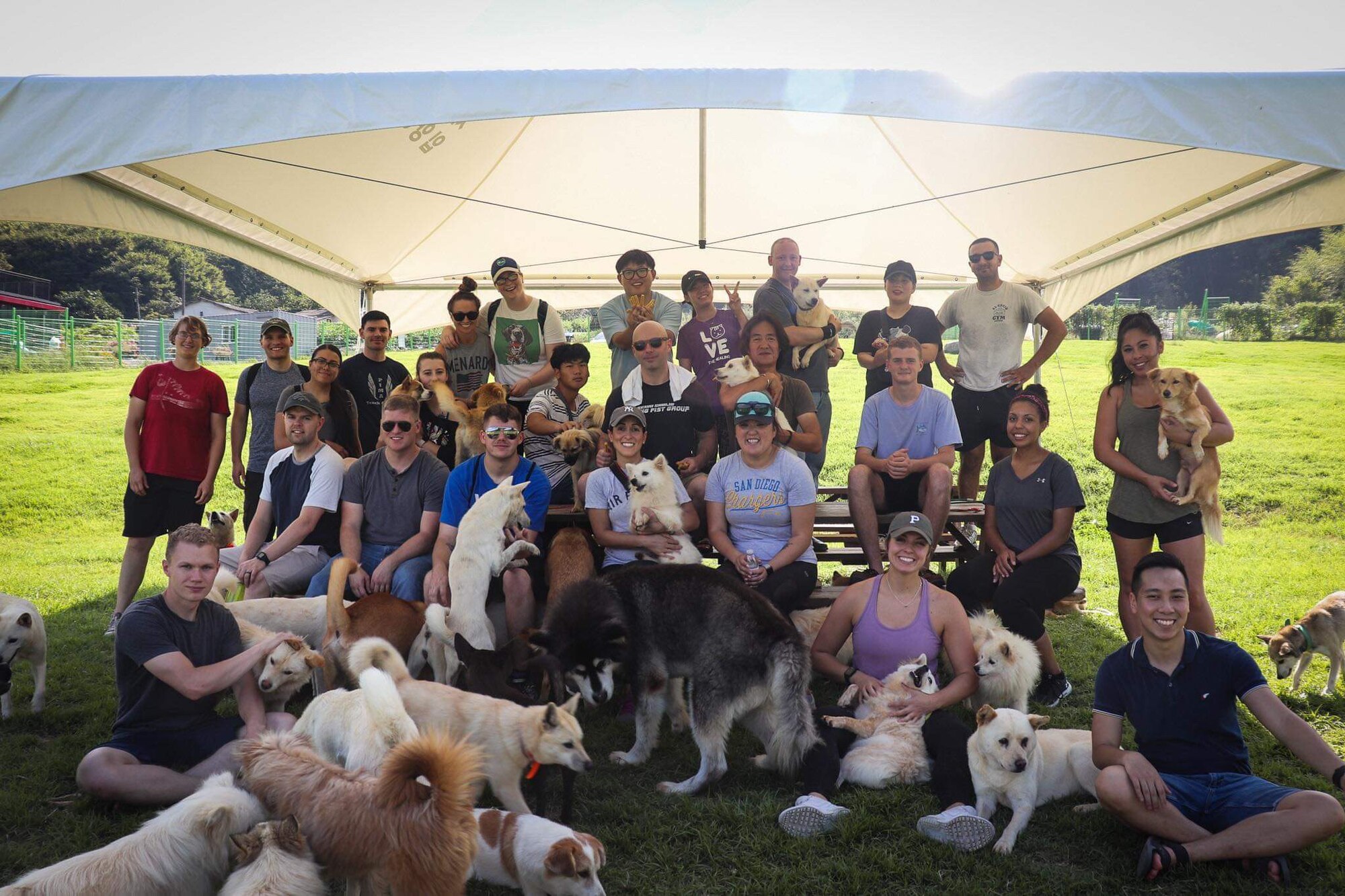 Since arriving at Kunsan Air Base, Republic of Korea, in March 2019, Master Sgt. Mason Bergeron, 8th Operations Support Squadron aircraft flight equipment flight chief and Dog Land Outreach president, has recruited more than 150 active duty military volunteers to help support Gunsan Dog Land. Dog Land is home to more than 600 dogs and cats who have been rescued around the Gunsan area. (Courtesy Photo)