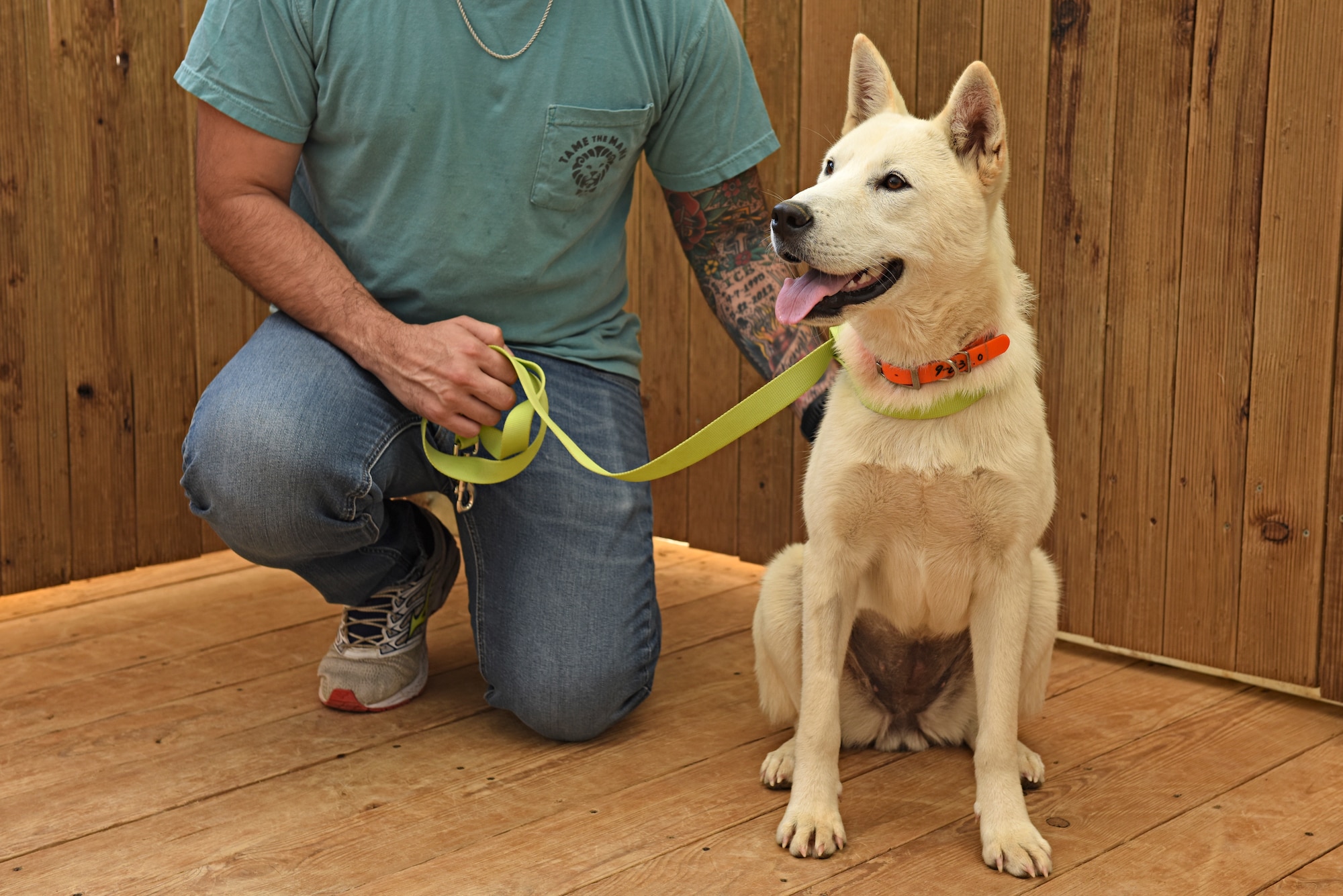 Dog Land Outreach volunteers conduct basic obedience training at Gunsan Dog Land, Gunsan, Republic of Korea, Oct. 20, 2019. The volunteer trainers work with the dogs on basic obedience such as sitting, listening and walking with a leash. (U.S. Air Force photo by Staff Sgt. Mackenzie Mendez)