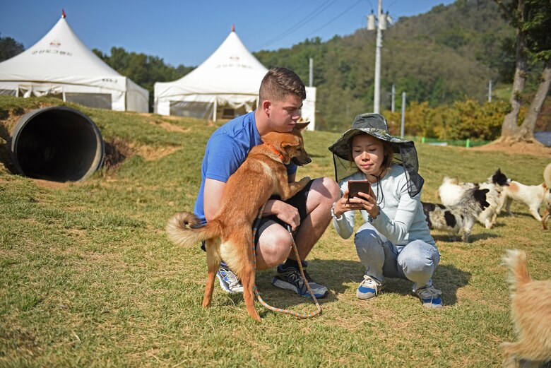 Airman 1st Class Anthony Bell, a Dog Land Outreach volunteer, communicates with a Gunsan Dog Land employee through a translation application during a volunteer event in at the sanctuary in Gunsan, Republic of Korea, Oct. 20, 2019. Despite the language barrier, Dog Land Outreach volunteers have been able to build lasting connections with the Gunsan community while volunteering to help care for more than 600 animals. (U.S. Air Force photo by Staff Sgt. Mackenzie Mendez)