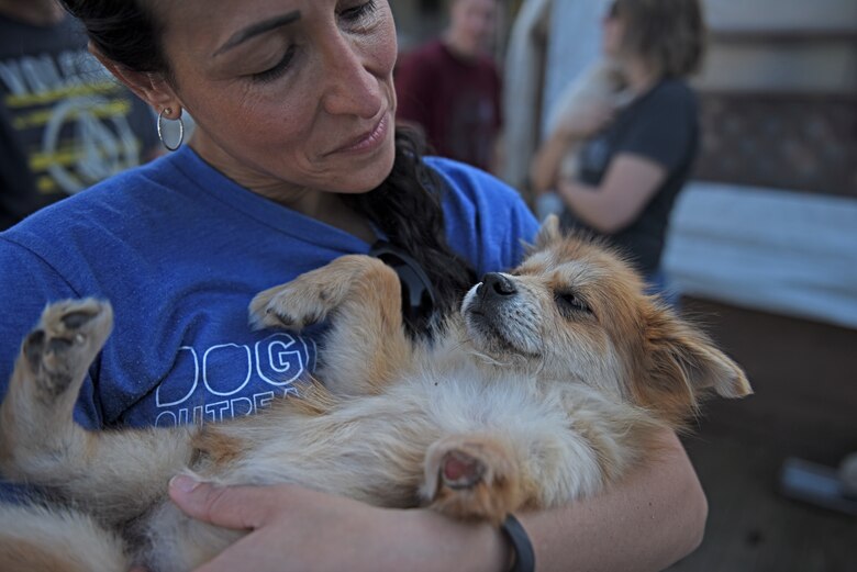 Capt. Christina Kyc, 8th Medical Group licensed clinical social worker and Dog Land Outreach vice president, holds a young puppy at Gunsan Dog Land, Gunsan, Republic of Korea, Oct. 20, 2019. Kyc is one of more than 150 active duty military volunteers who contributes their time and money to support the rescue efforts of animals in Gunsan. (U.S. Air Force photo by Staff Sgt. Mackenzie Mendez)