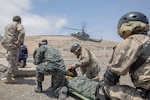 Military personnel practice medical evacuations as a helicopter flies in the background.