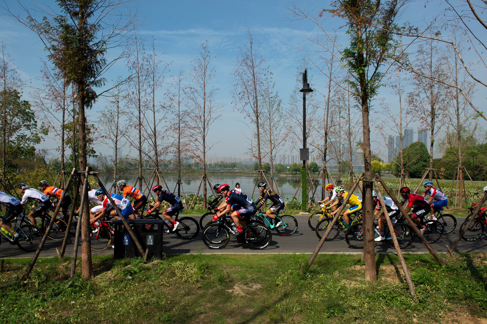 Framed by trees on the roadside, bicyclists compete in an 80-mile race.