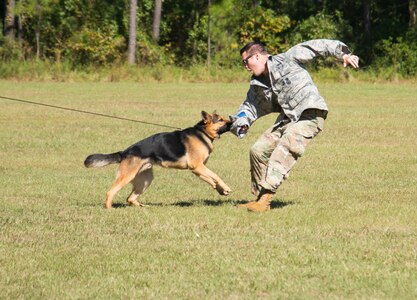 Staff Sgt. Jake Mikell, a military working dog handler assigned to the 628th Security Forces Squadron, and military working dog Kantor demonstrate how a military working dog is trained, October 23, 2019, at Marrington Elementary School on Joint Base Charleston, S.C. Mikell was at the school, along with other security forces members, to exhibit how the military working dogs are taught to defend and search for drugs. Members of Team Charleston were at the school to educate students about drug prevention during Red Ribbon Week. Red Ribbon Week, which takes place October 23-31, is an awareness program that began in 1985 as a way to show opposition to drugs as stated by the Get Smart About Drugs foundation.