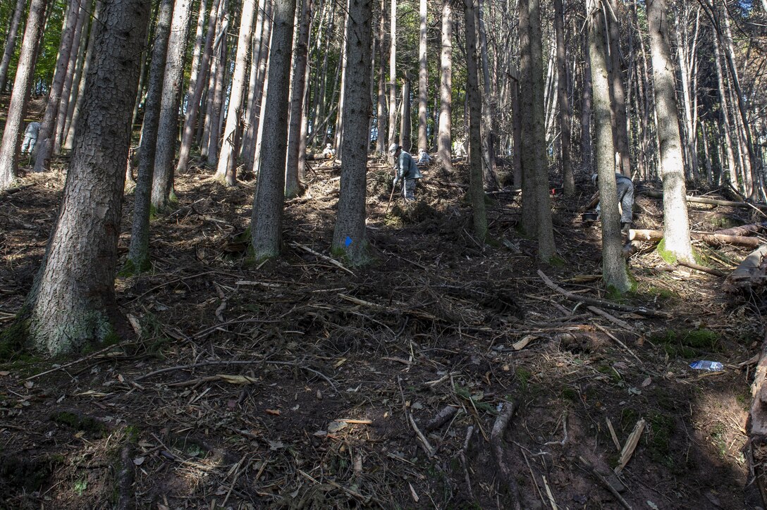Airmen have worked in the dense wooded area digging through thick vegetation to recover F-16 parts.