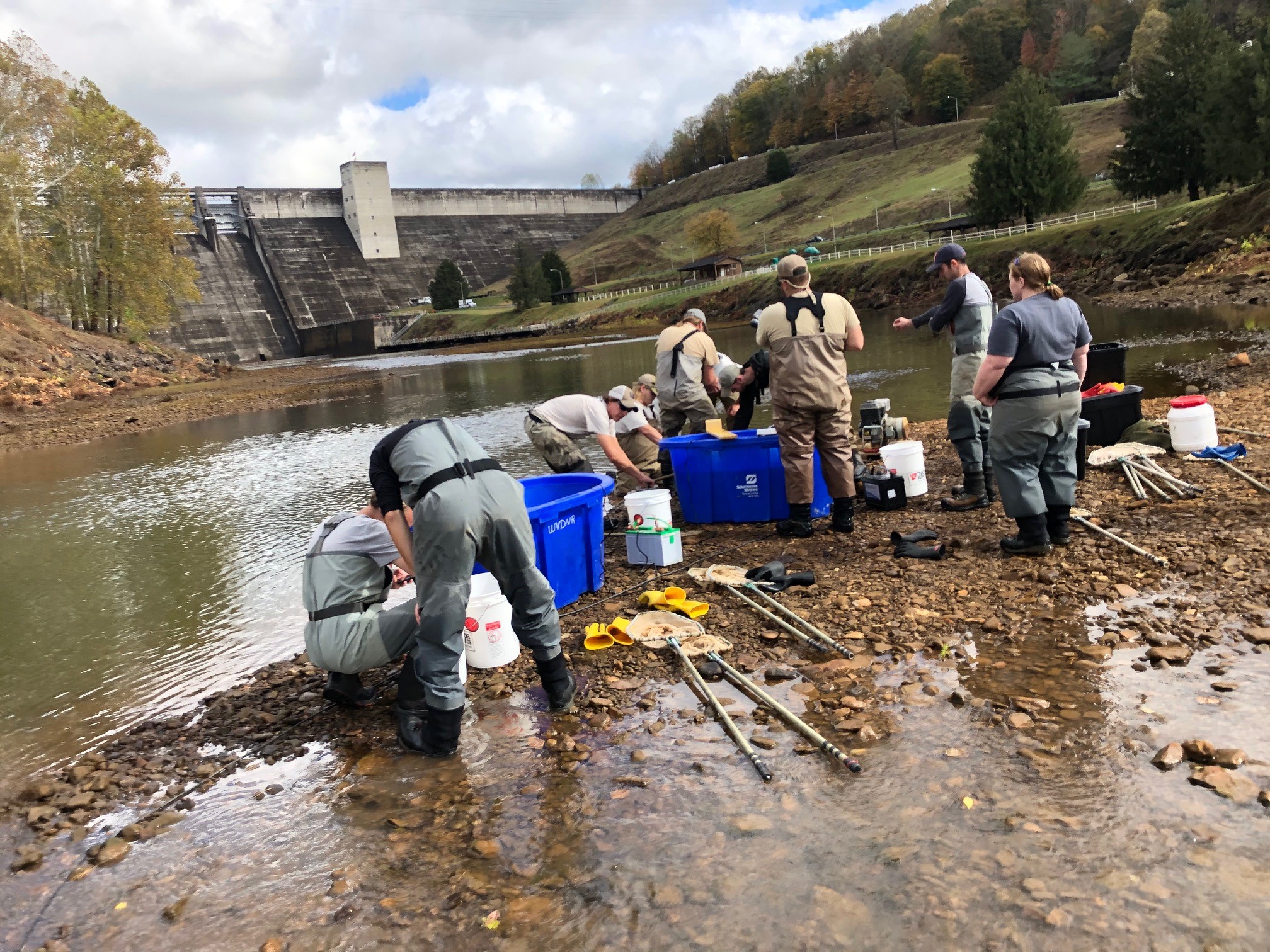 Sutton Lake Biological Surveys > U.S. Army Corps of Engineers