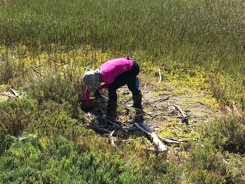 A volunteer picks up trash at the Santa Ana River Marsh during California Coastal Cleanup Day Sept. 21 in Newport Beach, California.