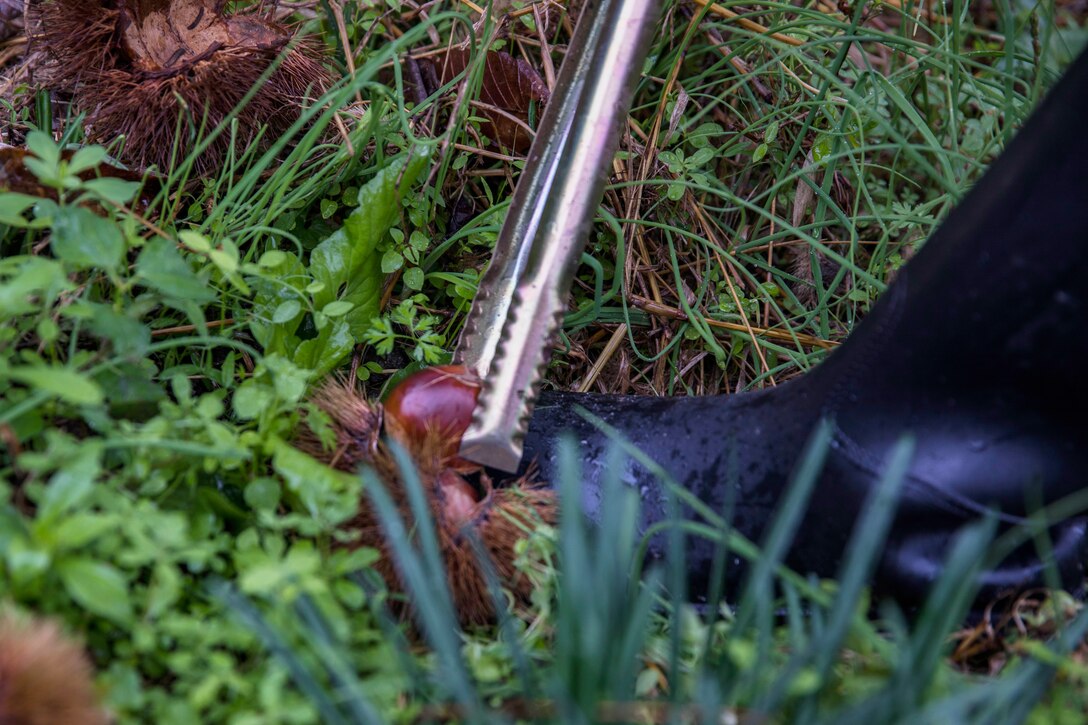 Photo by Lance Cpl. Trista Whited