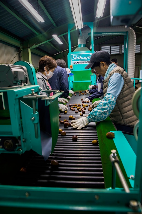 Photo by Lance Cpl. Trista Whited