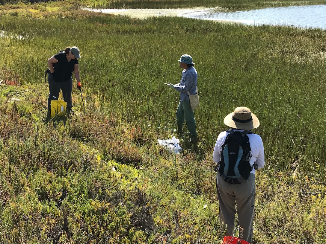 Volunteers pick up trash at the Santa Ana River Marsh during California Coastal Cleanup Day Sept. 21 in Newport Beach, California.