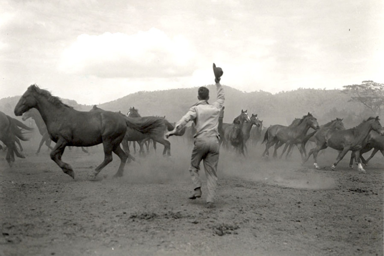 A soldier waves his hat as he chases horses.