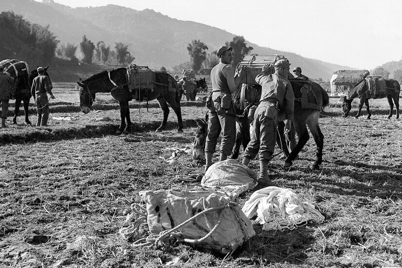 Soldiers load wooden crates onto mules.