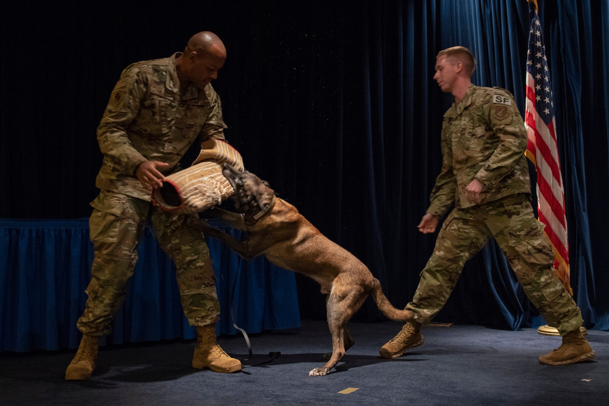 Tech. Sgt. Matthew Clark, 374th Security Forces Squadron kennel master, left, and Staff Sgt. Cody Nickell, 374th SFS military working dog handler, give retiring working dog Topa his ceremonial final bite at Yokota Air Base, Japan, Oct. 17, 2019.