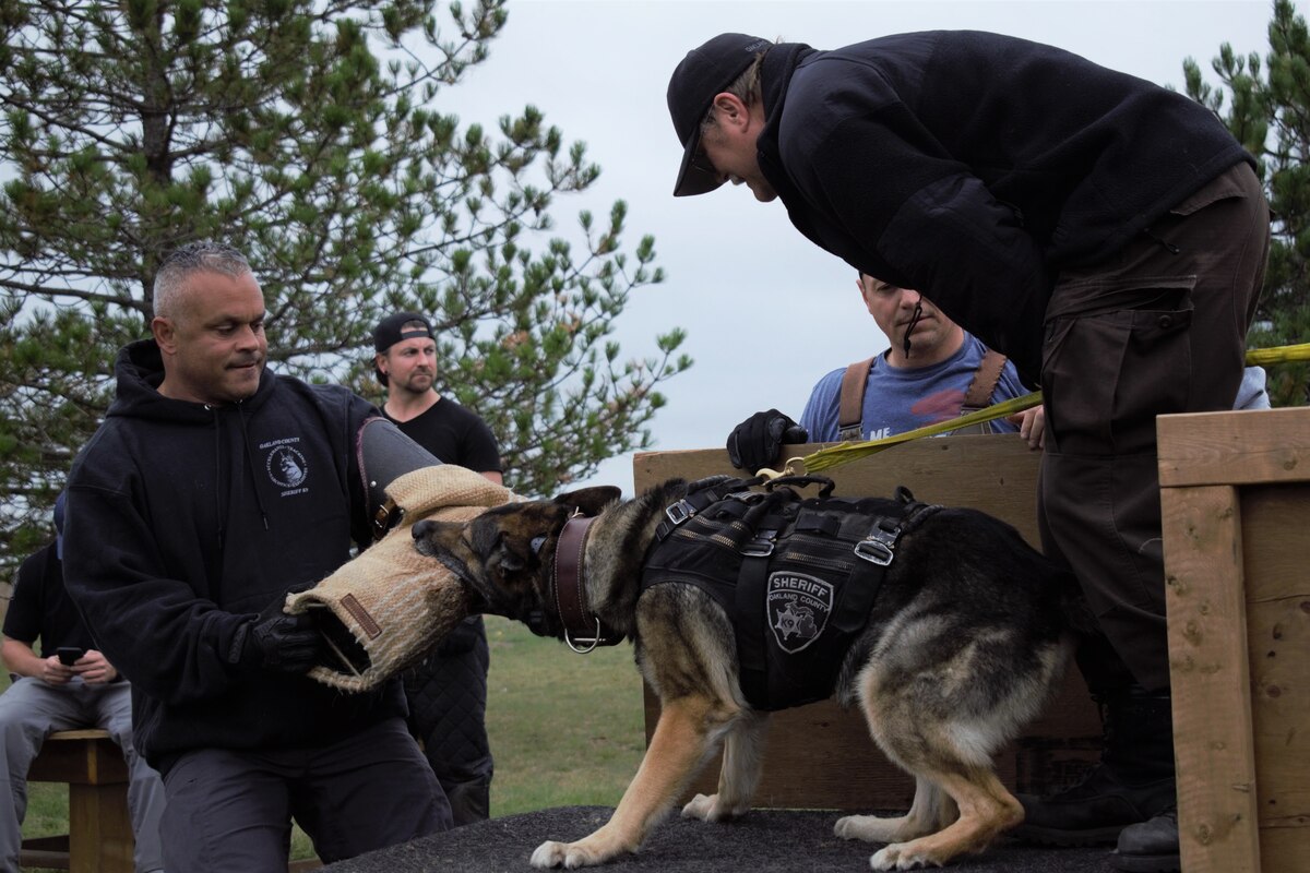 Police k9 training seminars clearance