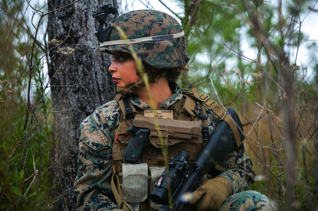 2nd Law Enforcement Battalion conducts field exercise