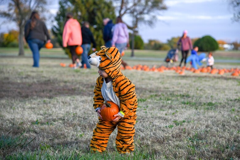 Haisten Stuckley, age 1, carries his chosen pumpkin at the Trunk or Treat Spooktacular event Oct. 25, 2019, at McConnell Air Force base, Kan. Families had the opportunity to take a hayride to a pumpkin patch where children could pick a pumpkin of their choice. (U.S. Air Force photo by Airman 1st Class Nilsa E. Garcia)