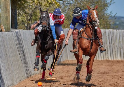 AF takes polo title