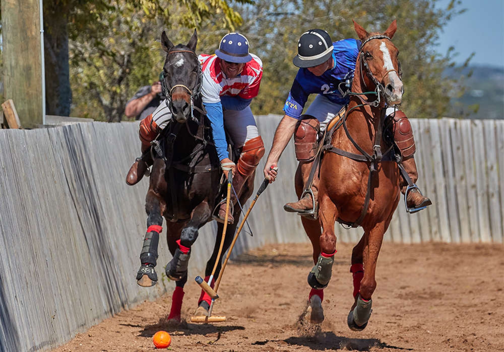 AF takes polo title