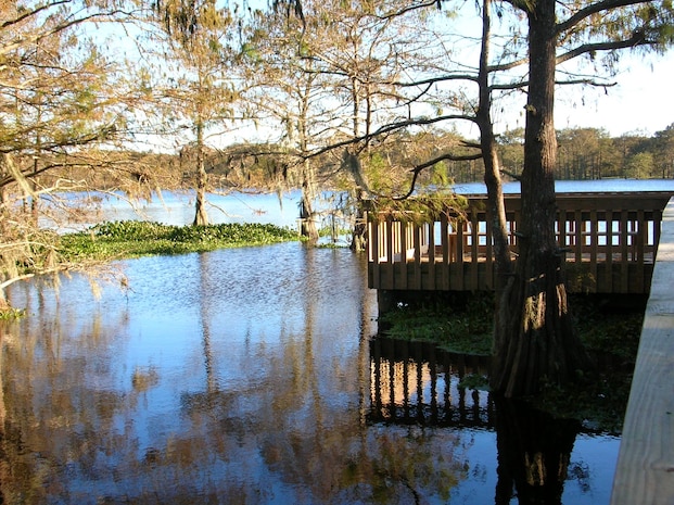 Birding, fishing, hunting, and picnicking are some of many activities you can do at Walisville Lake Project.