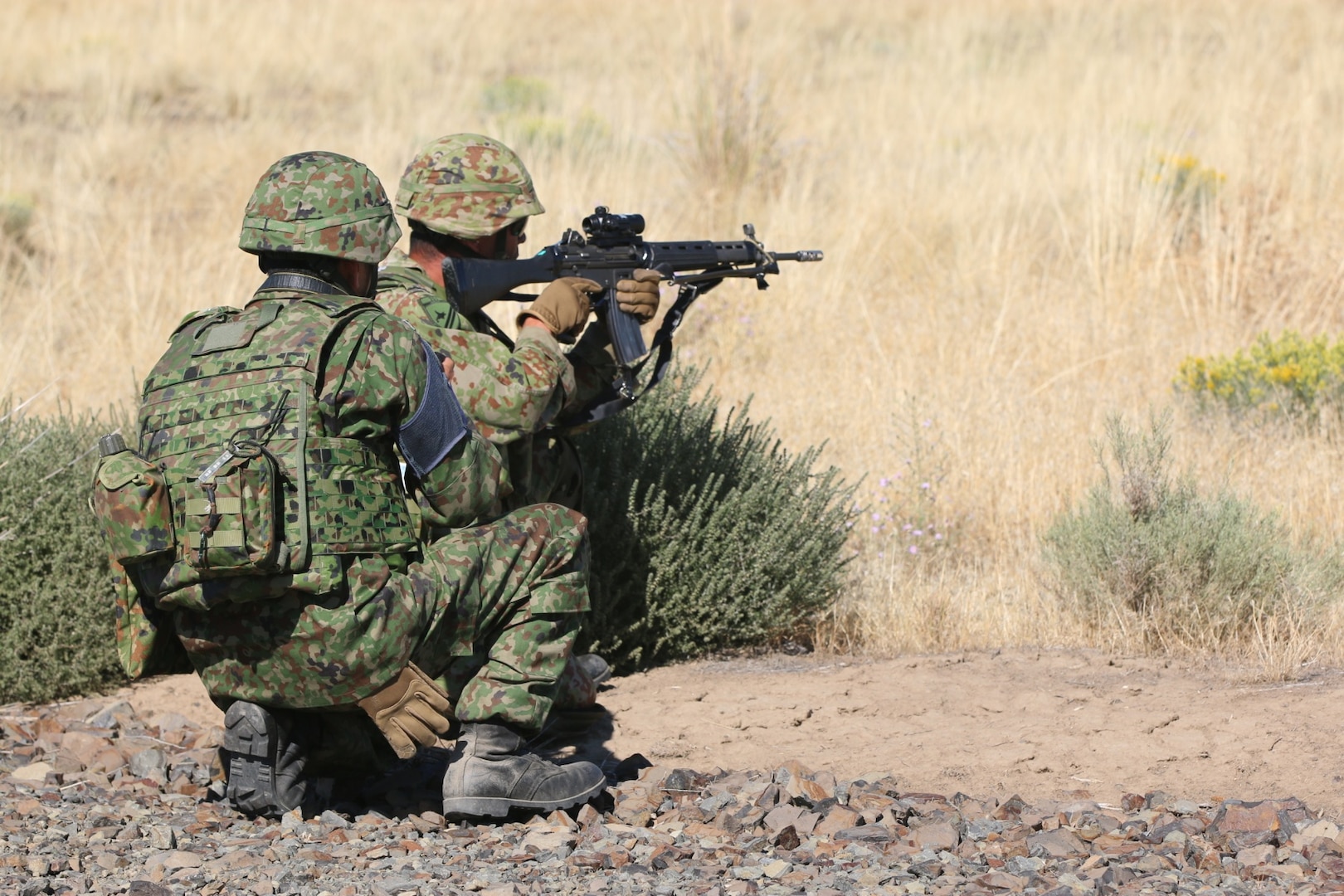 Illinois Guard Supports Japanese Allies at Rising Thunder