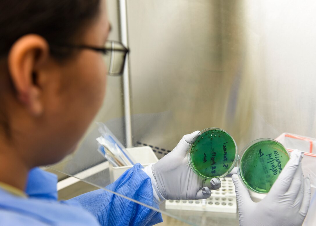 Airman 1st Class Karen Diaz-Zavala, 82nd Medical Support Squadron clinical laboratory technician, analyzes a quality control sample of Shigella, a gastro-intestinal disease causing bacteria at Sheppard Air Force Base, Texas, Sept. 5, 2019. Performing quality control ensures that laboratory tests are accurate and that medical providers have the most reliable information to treat their patients. (U.S. Air Force photo by Senior Airman Ilyana A. Escalona)