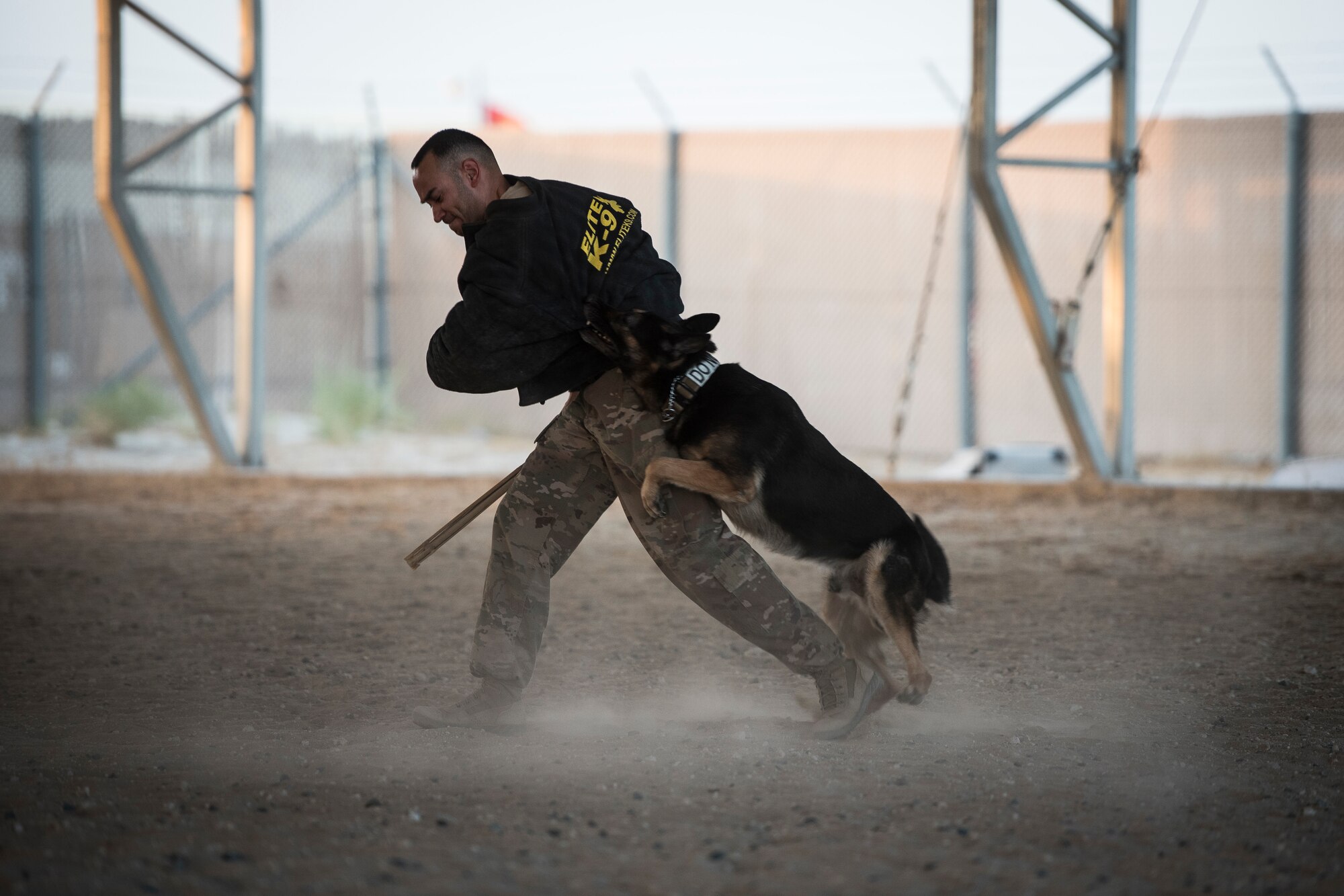 Military working dog works with handler during tactics demonstration.