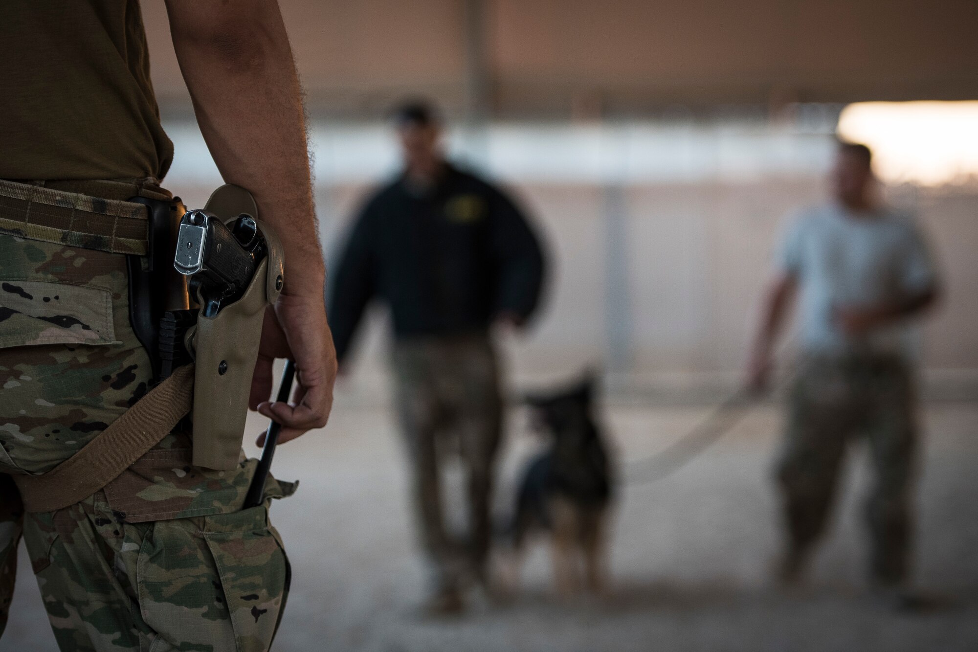 Military working dog stands with handler during tactics demonstration.