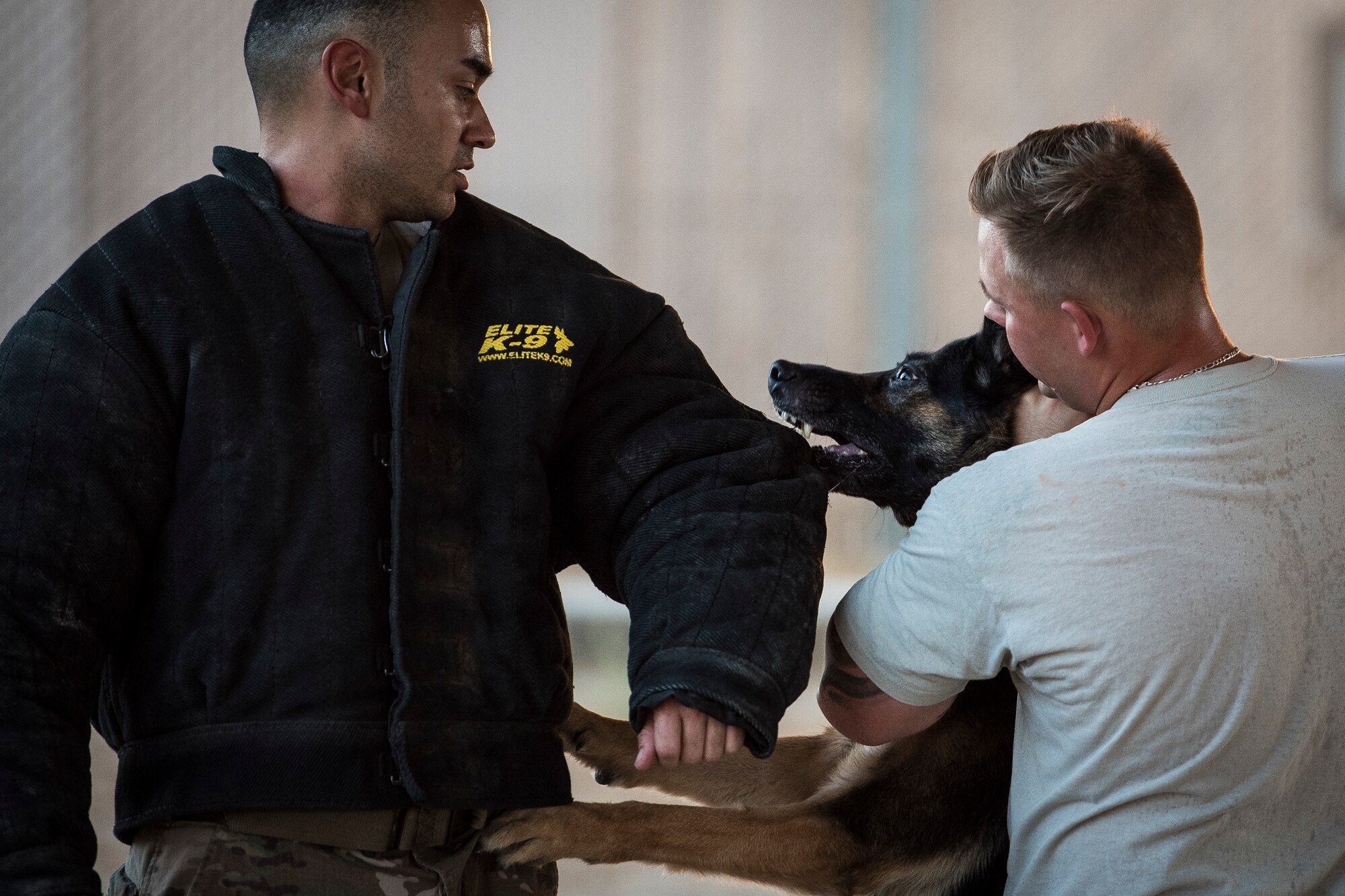 Military working dog works with handler during tactics demonstration.