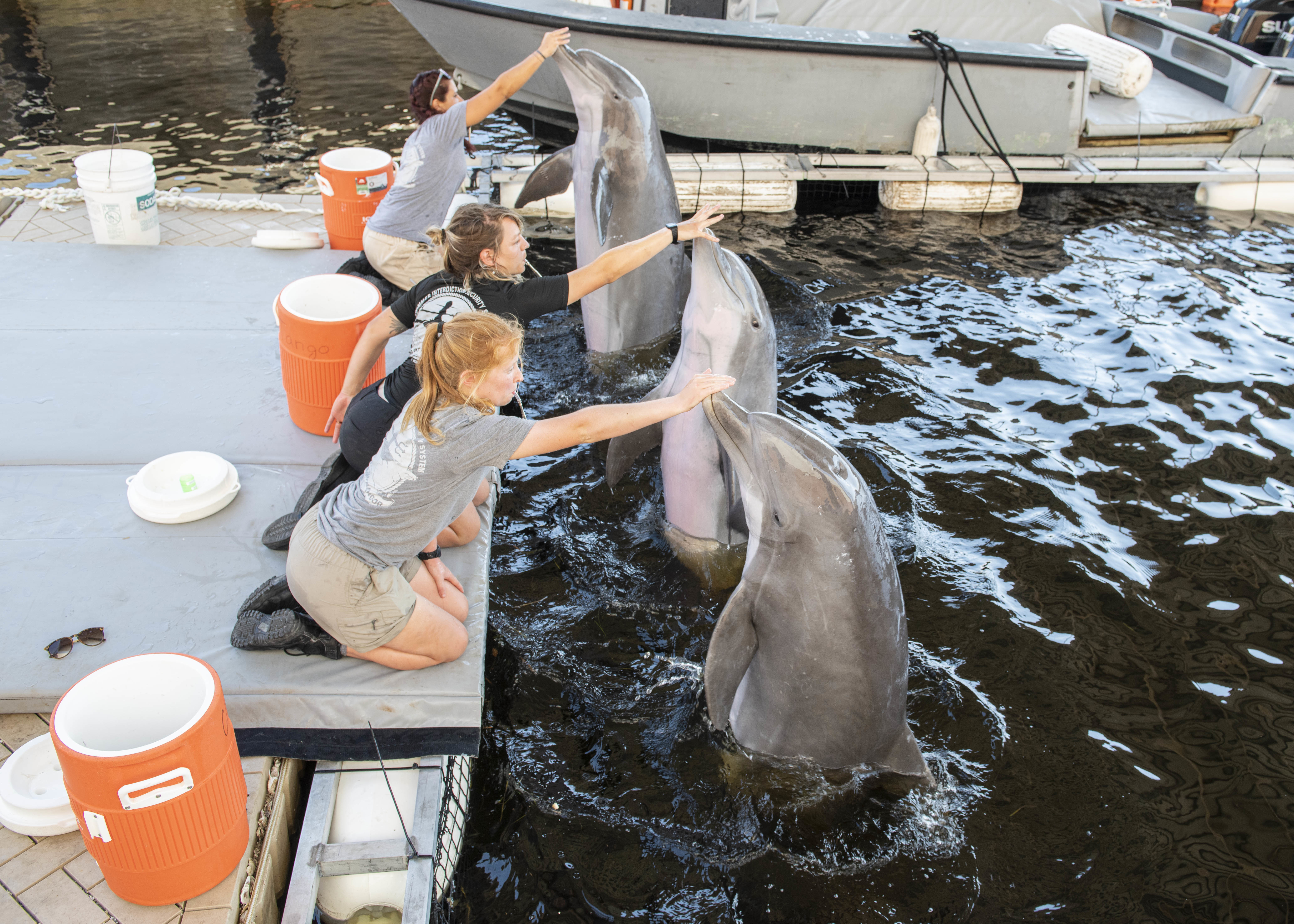 Navy marine mammals shelter in Panama City during Hurricane Dorian