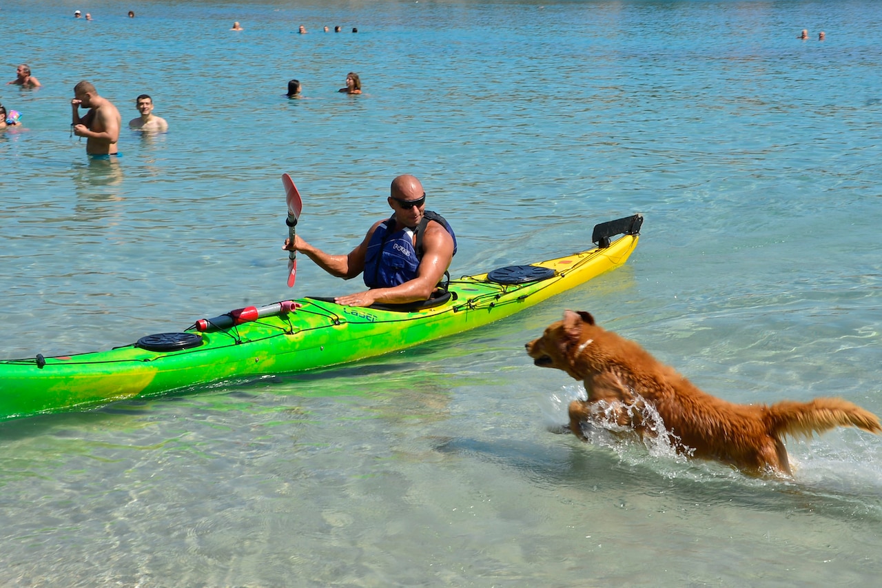 Man in a green kayak is greeted at shore by a brown dog running toward him.