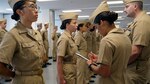 Navy to Establish NROTC Unit at University of Hawaii at Manoa