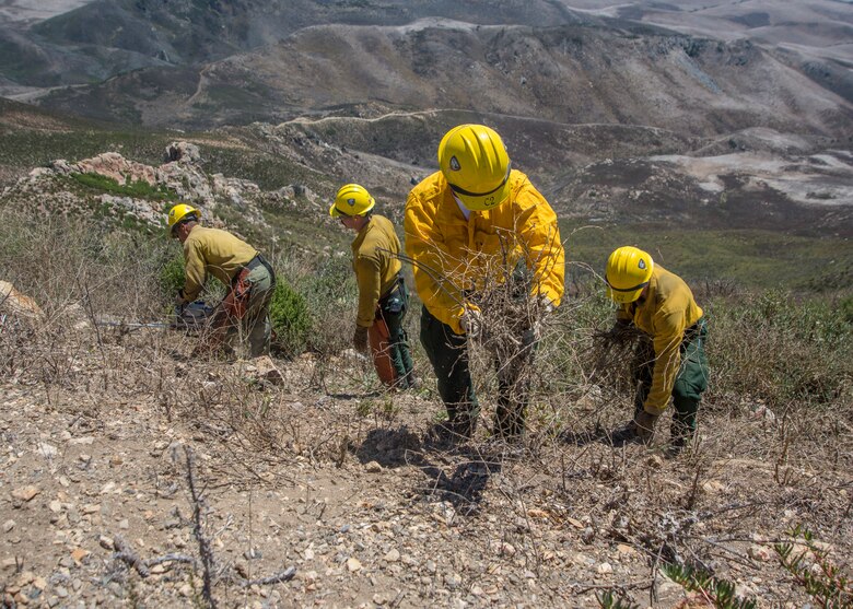 Hotshots