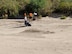 Airmen assigned to the 612th Air Communications Squadron clean up debris and trash at the Rillito River in Tucson, Arizona, Sept. 4, 2019. The 612th ACOMS worked in conjunction with Tucson Clean and Beautiful, Pima County Flood Control and Pima County Parks and Recreation in efforts to clear out the area that crosses through the heart of Tucson. (Courtesy Photo)