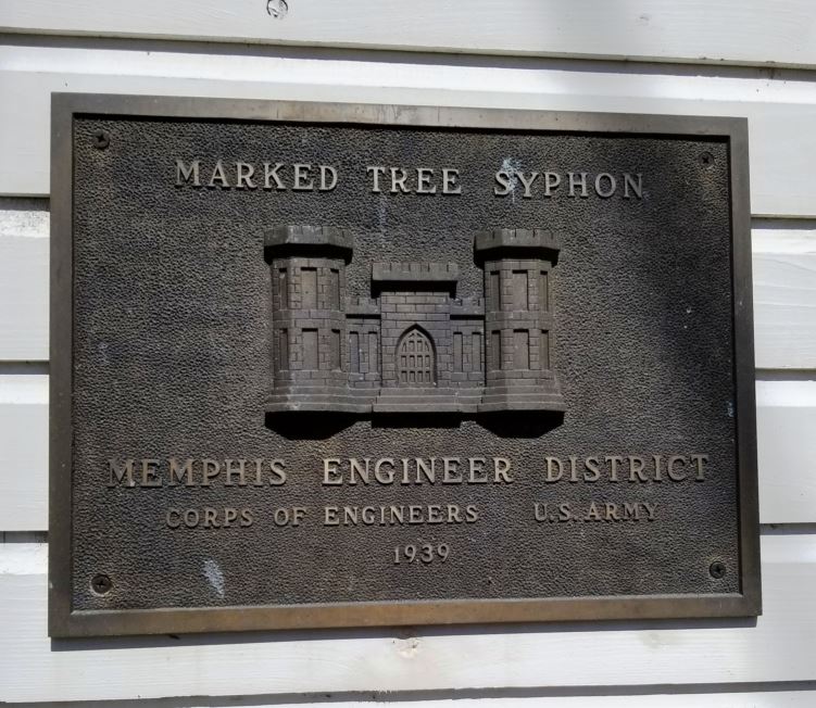 Marked Tree Siphons (or syphons)