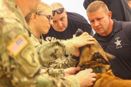 Law Enforcement, Army, Navy, Air Force Participate in Army Reserve K9 Casualty Training