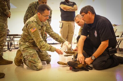 Law Enforcement, Army, Navy, Air Force Participate in Army Reserve K9 Casualty Training