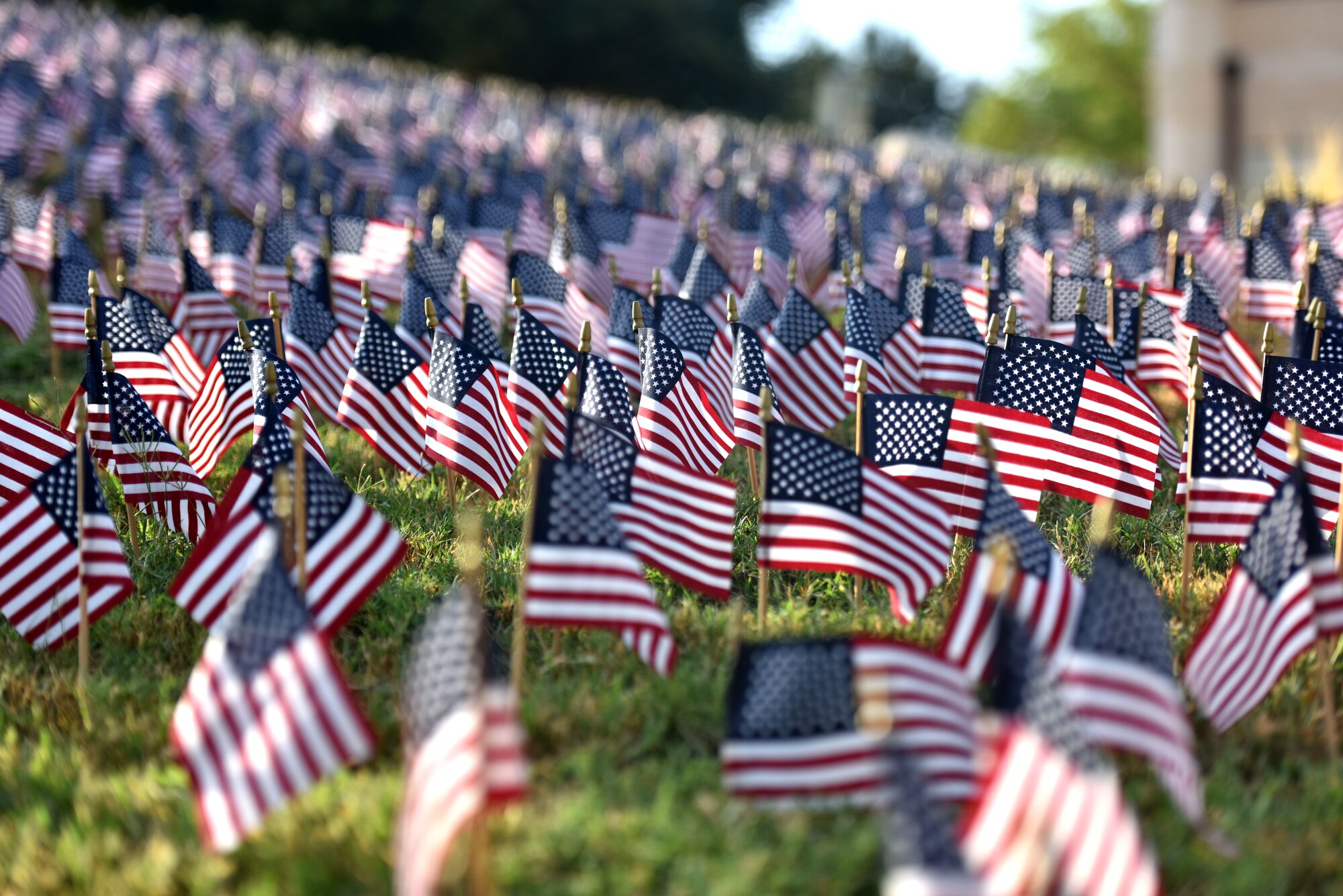 Small flags on display outside the San Angelo Fine Arts Museum during the 9/11 Memorial Ceremony in San Angelo, Texas, Sept. 11, 2019. Nearly 3,000 flags were displayed to honor all those who lost their lives in the collapse of the World Trade Center. (U.S. Air Force photo by Senior Airman Seraiah Wolf/Released)