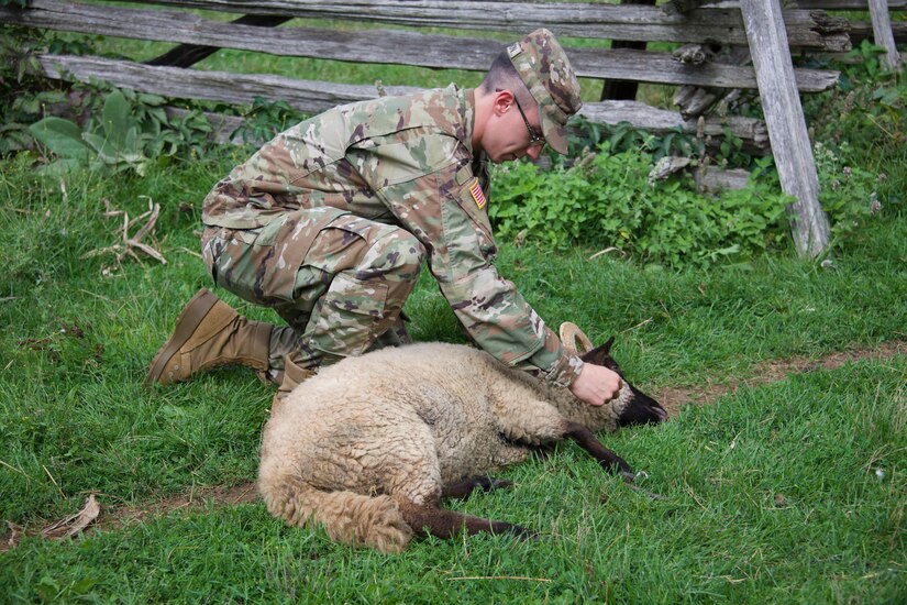 U.S. Army Reserve Veterinarian Provides Realistic Civil Affairs Training at Genesee Country Village and Museum