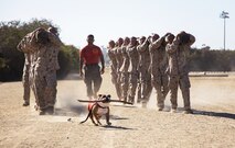 Pvt. Manny leads log drills with recruits of Bravo Company, 1st Recruit Training Battalion, at Marine Corps Recruit Depot San Diego, Sept. 9.