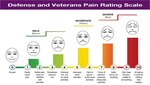 The Defense and Veteran’s Pain Rating Scale