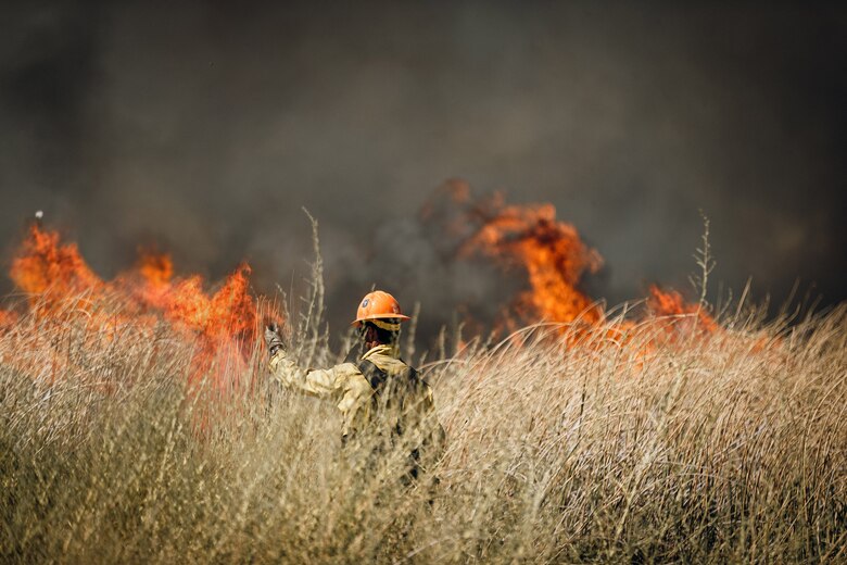 Crews conduct prescribed burns Sept. 5-16, at Edwards Air Force Base, California. The prescribed burn removed old decadent fuels susceptible to wildfire, and for habitat restoration at Piute Ponds at the southwest corner of Edwards. The burns thinned out Tully grass, which is considered an invasive species and competes with native species for natural resources. (U.S. Air Force photo by Harley Huntington)
